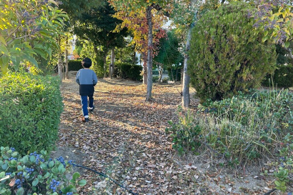 東大阪　公園　スカイランド