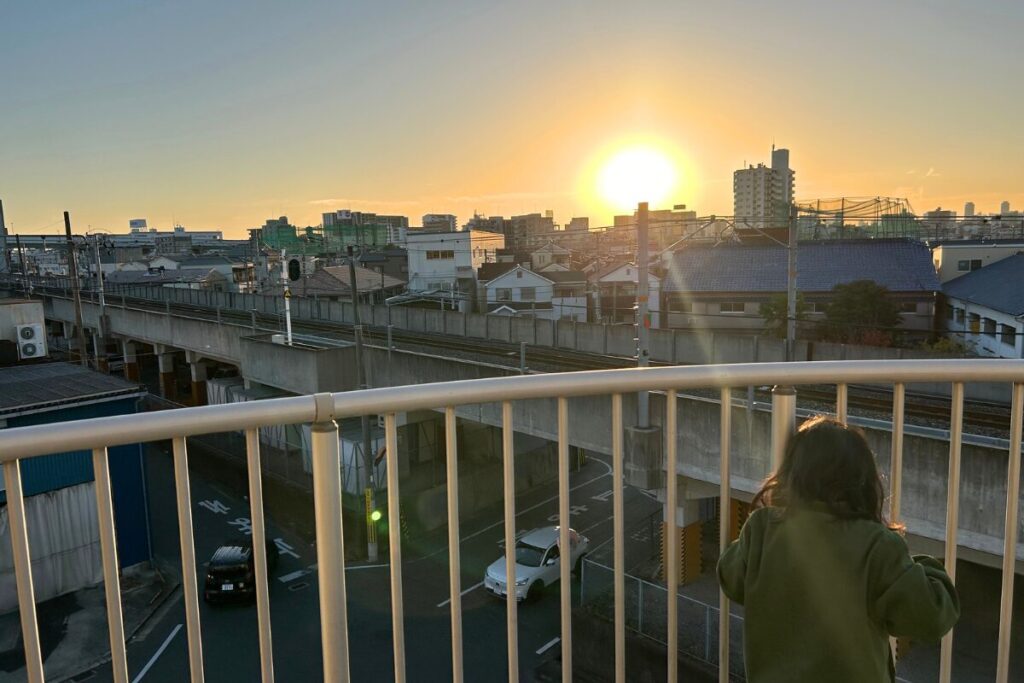 東大阪　公園　スカイランド　電車