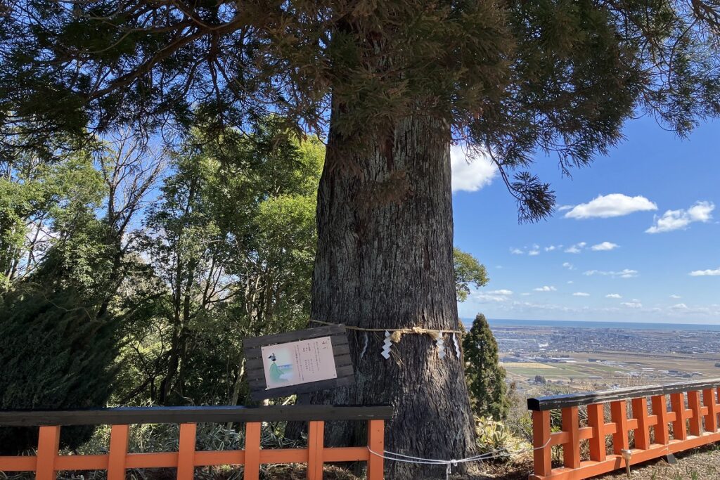 御神木-山一ノ杉