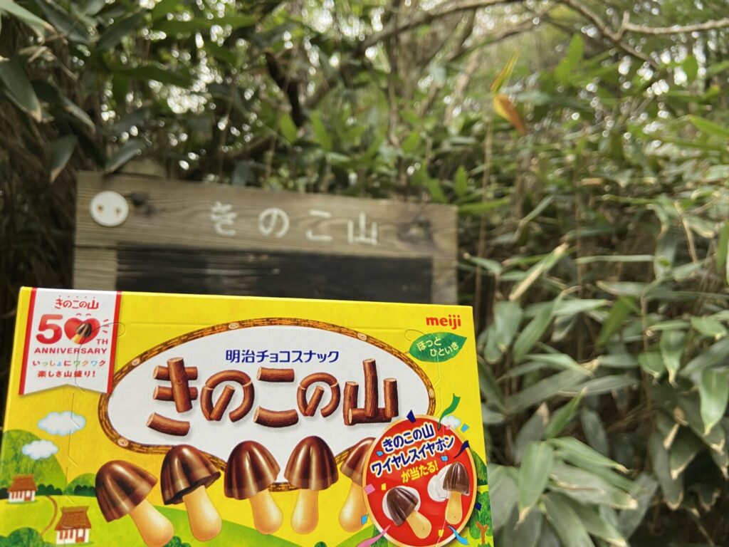 きのこ山