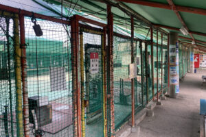 卓球やオートテニスまでできる！「南光台バッティングセンター」でストレス発散しよう