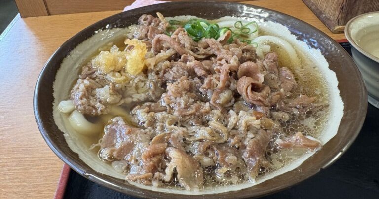 甘辛に炊いた肉と澄んだ出汁の相性が抜群の肉うどん｜「めりけんや 高松駅前店」