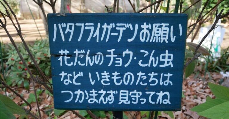 都市の隙間に「いのちの道」を。NPO法人グリーンフィールドが描く、100年先の生態系