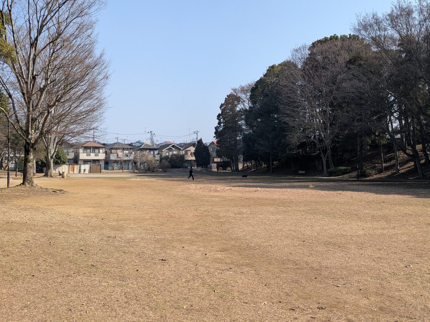 東部近隣公園の大きな芝生広場