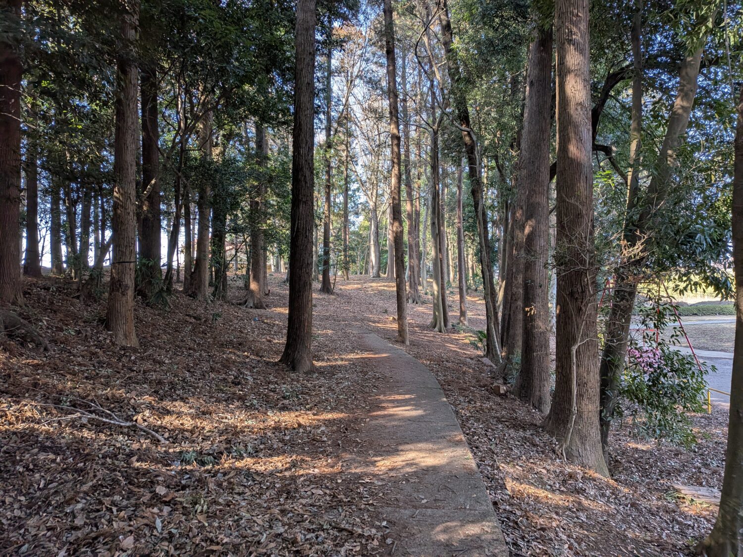 東部近隣公園の遊歩道