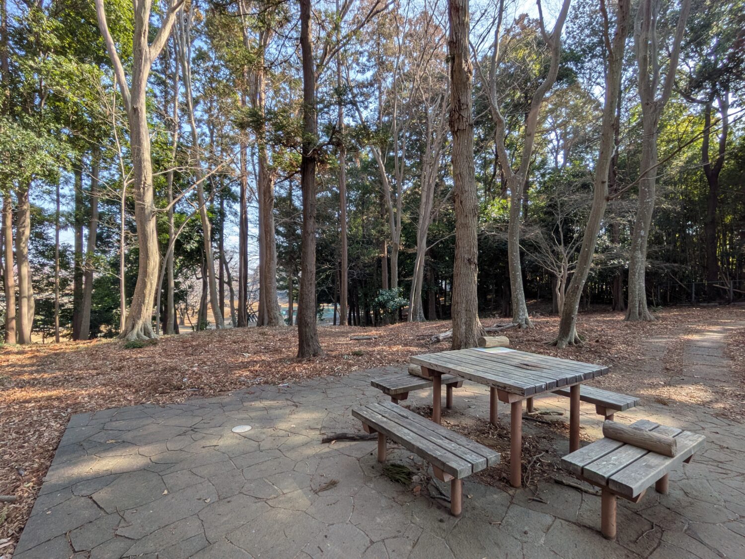 東部近隣公園のベンチ
