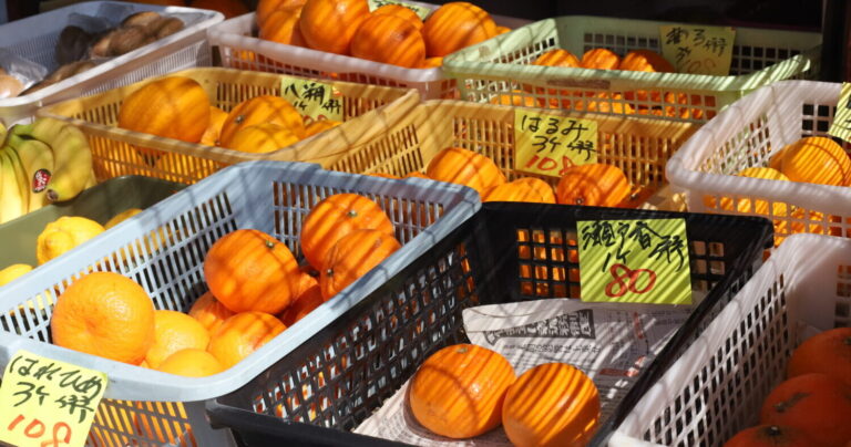 名前のない八百屋さん｜安くて新鮮な野菜を届ける地域に欠かせない存在