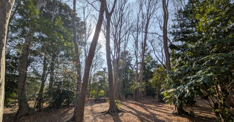 子育て世代に選ばれる街・流山市。日常使いしたい北東エリアの公園2選