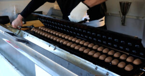 ベビーカステラ大黒屋――焼き上がったベビーカステラ