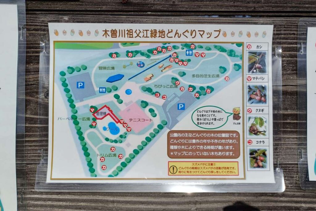 愛知県稲沢市「木曽川祖父江緑地」どんぐりマップ