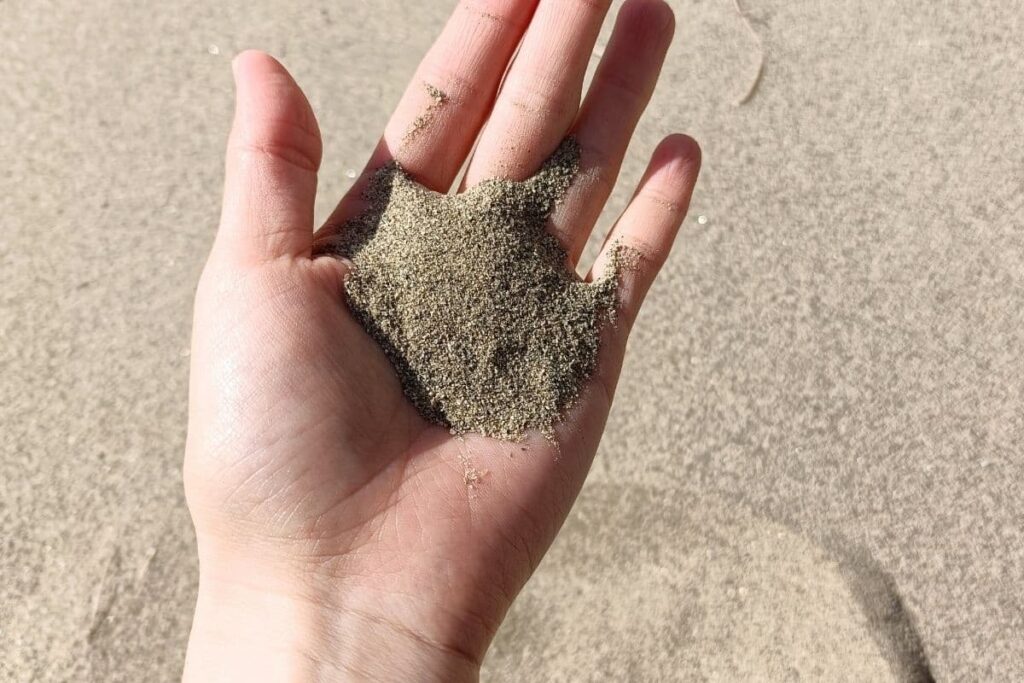 愛知県稲沢市「祖父江砂丘」