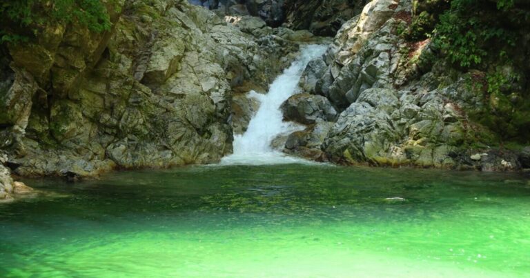 【尾白川渓谷】名水百選の清流で子どもと水遊び｜山梨県北杜市