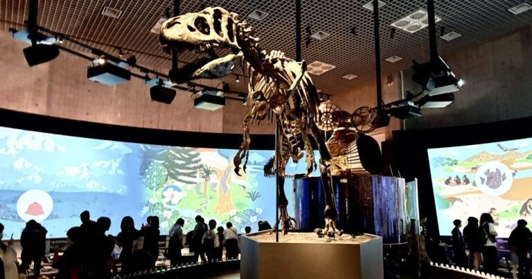 恐竜から宇宙まで！親子で楽しむ国立科学博物館の見どころ【前編・地球館】