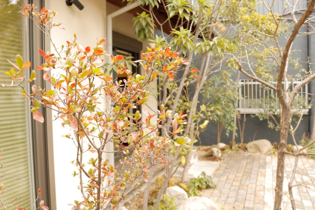 カフェポコー/Cafe Pokój――中庭の様子