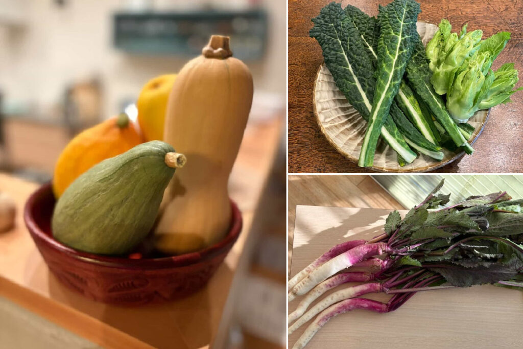 カフェポコー/Cafe Pokój――珍しい野菜たち(ロロンカボチャ、バターナッツカボチャ、カーボロネロ、つぼみ菜、日野菜カブ)