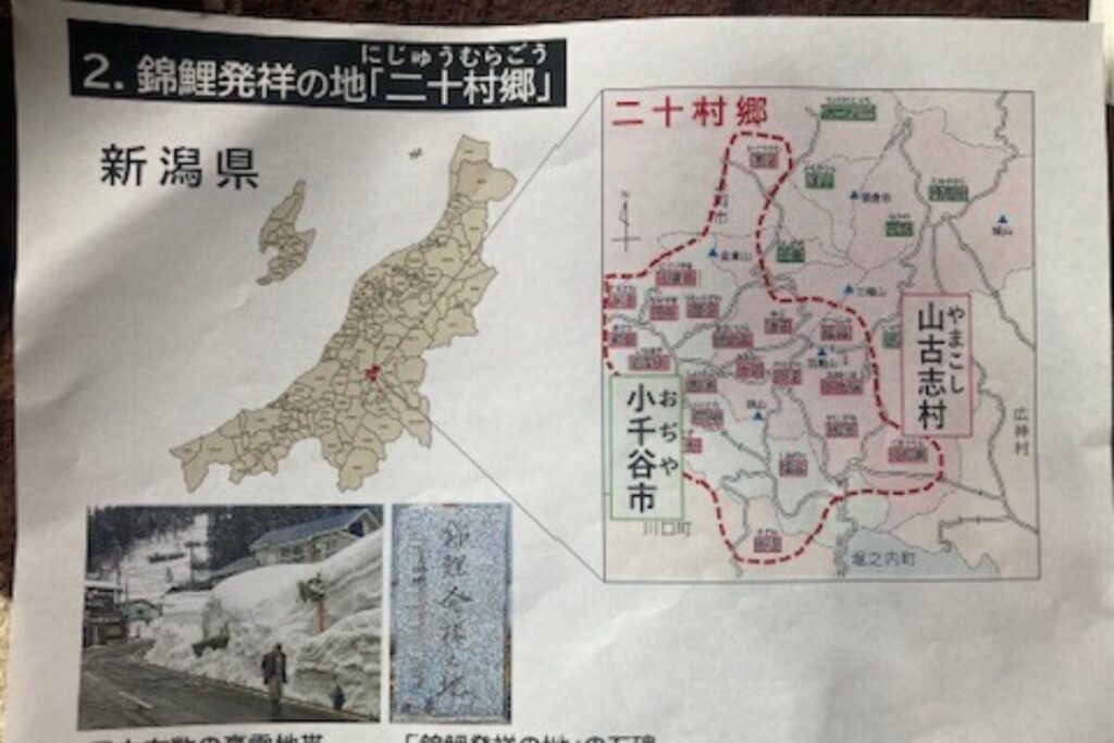 新潟県の形の地図と小千谷と山古志むらからなる「二十村郷」のエリアが拡大され、赤線で囲まれています。