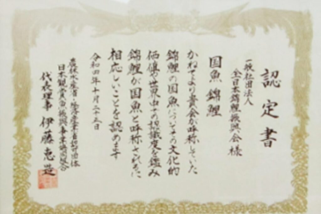 錦鯉が国魚として認定されたときの症状です。