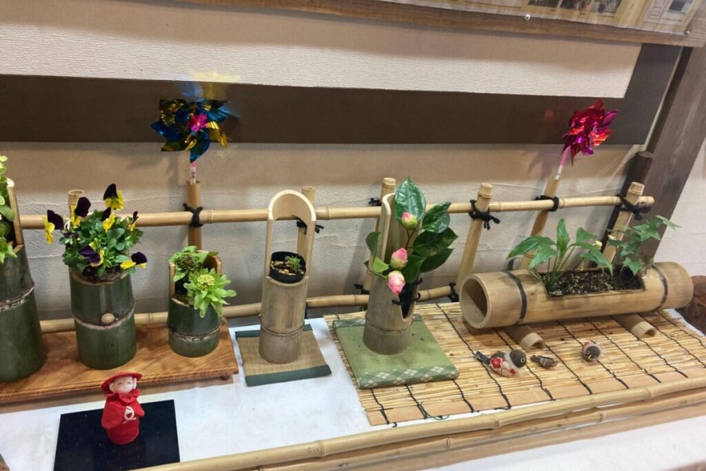 竹を鉢にした観葉植物が6つ並んでいます。