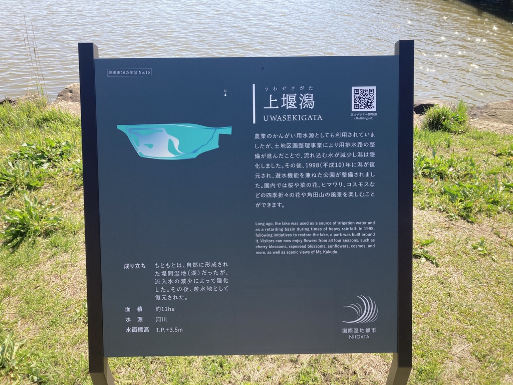 「上堰潟」と見出しがあり、潟の歴史と公園の成り立ちについて説明している看板です。内容は記事内で説明したものと同じです。