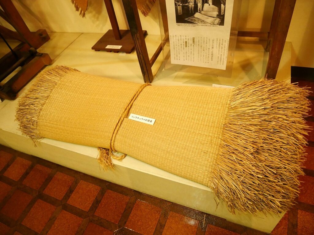 リュウキュウイの畳表
