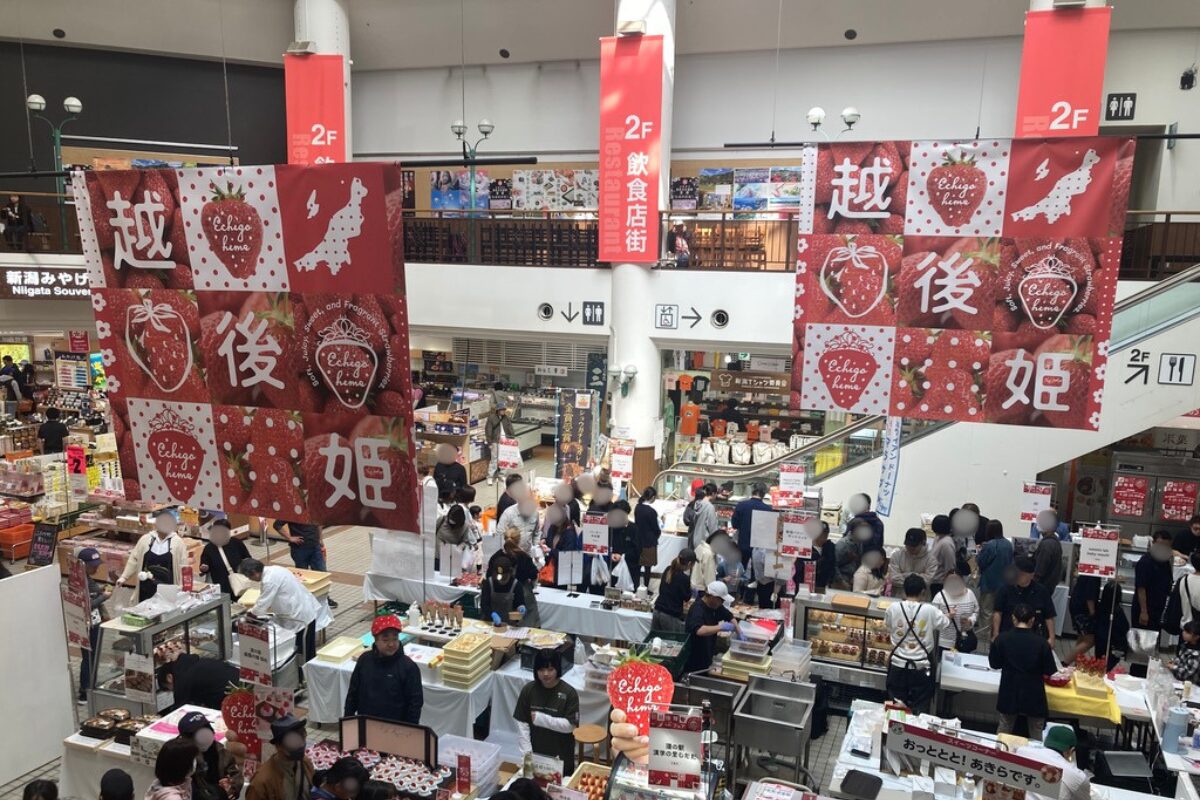2階から撮影したフェア会場の様子です。中央に出店ブース、空中にはポスターが吊るされています。