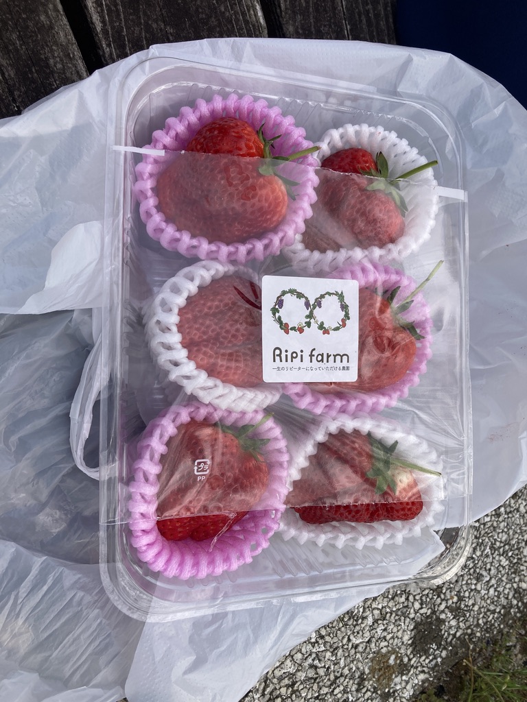 プラパックに6つのいちごが入っています。1粒の大きさは500円玉を一回り大きくしたくらいです。