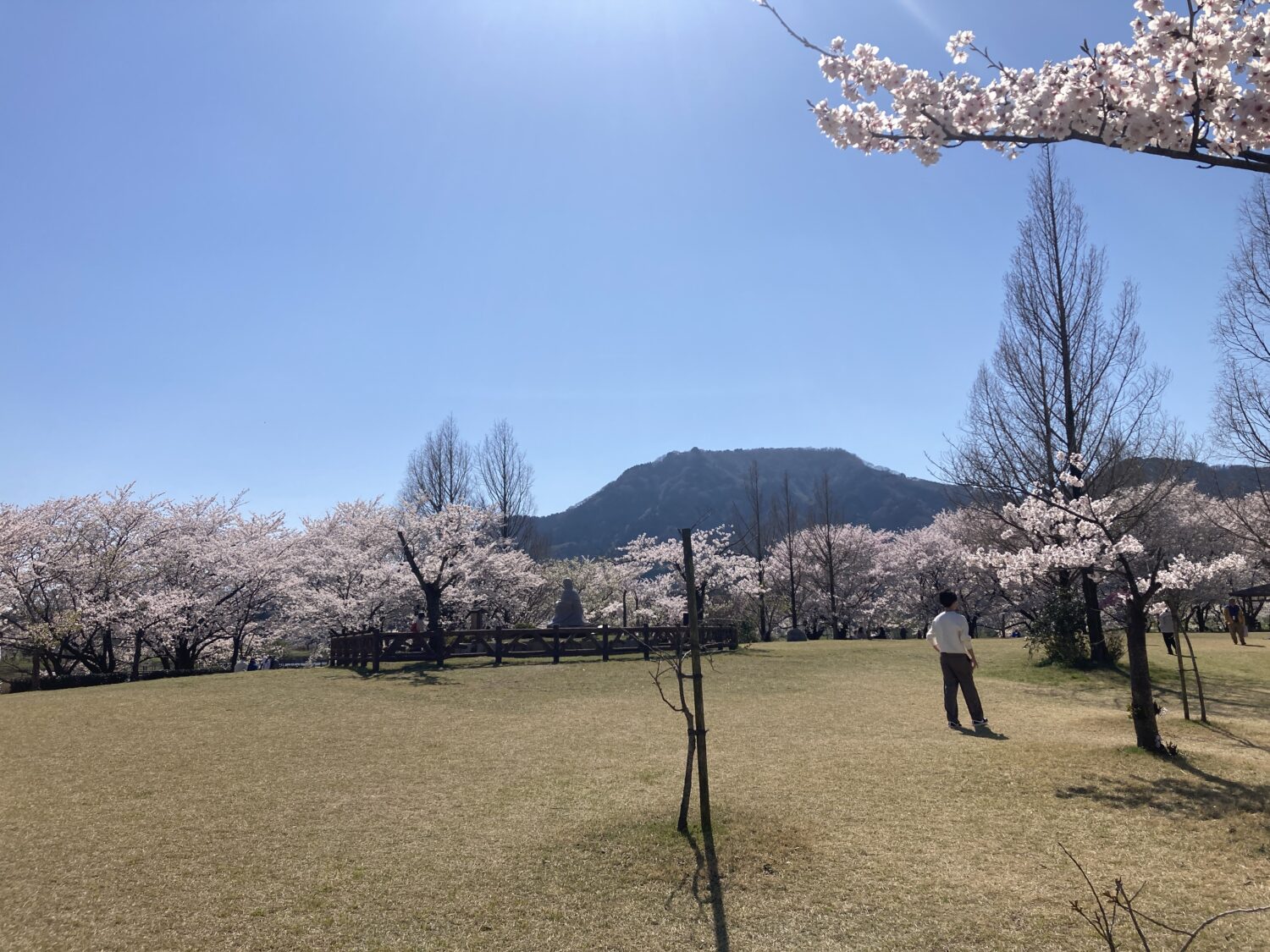 ひらけた場所で足元は芝生、そこに後ろ向きの銅像が立っています。像の周りには木の囲いがあります。
