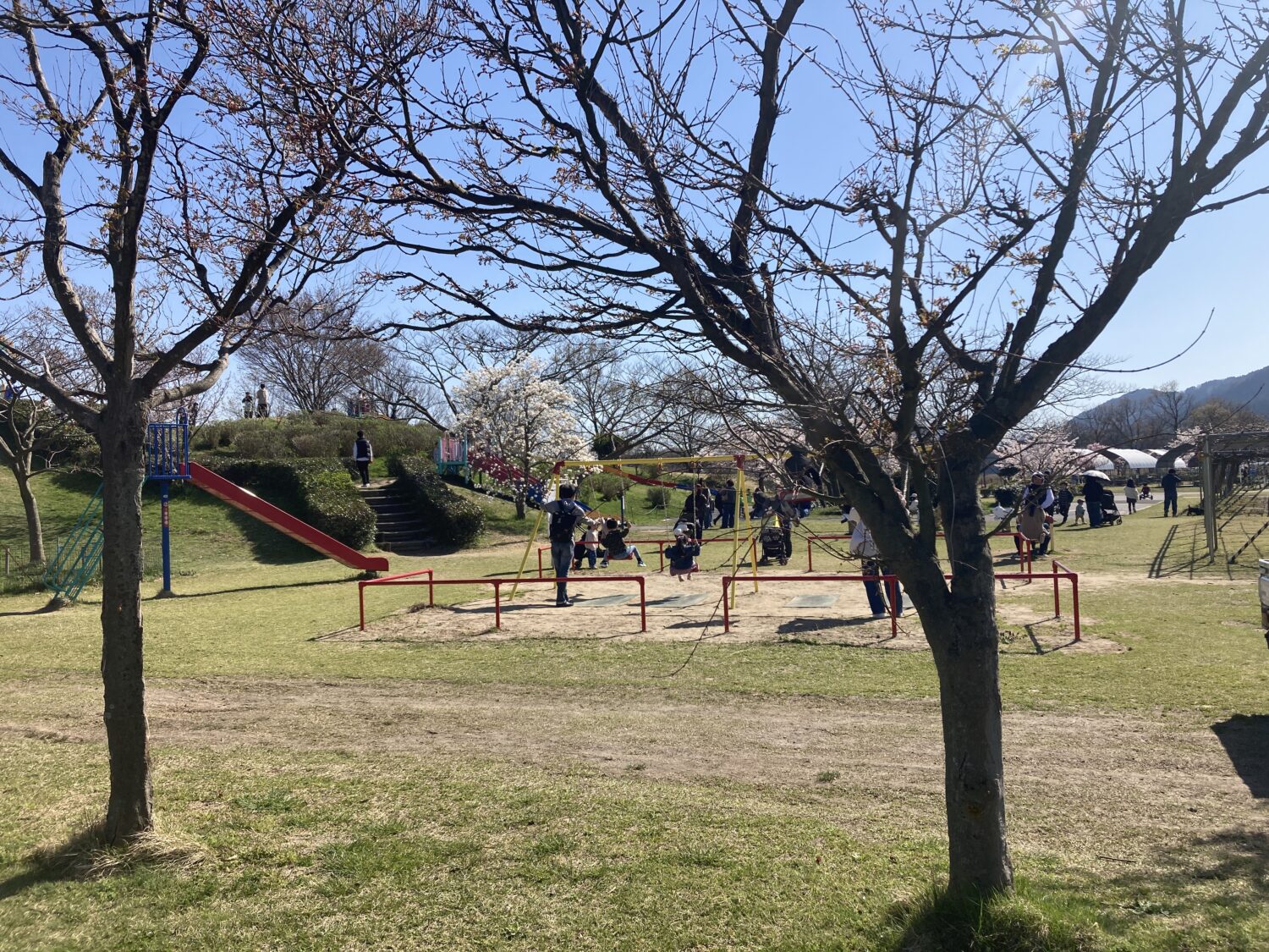 遊具のある広場で、たくさんの親子が滑り台やブランコで遊んでいます。