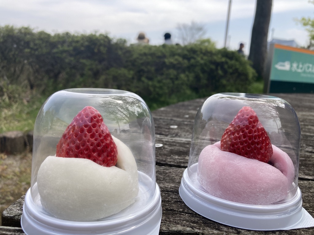 木のベンチの上に、2つのいちご大福が置かれています。左に白、右に赤のいちご大福が並んでいます。
