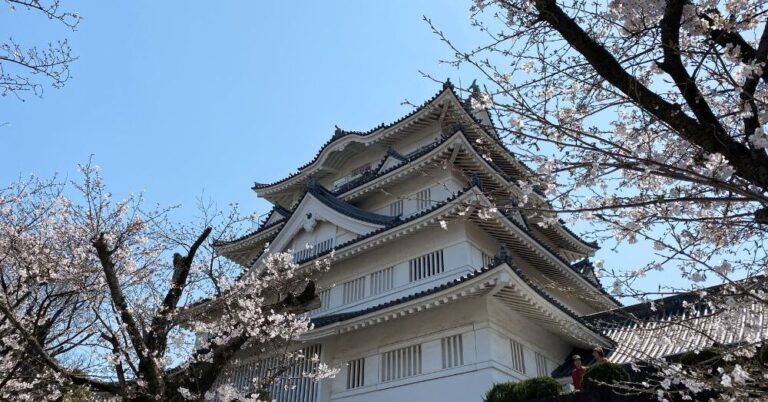 千葉開府900年の春を彩る「千葉城さくら祭り」開催｜千葉県千葉市