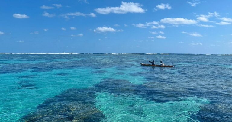 【石垣島】シーカヤックでめぐる、世界最大級のアオサンゴが息づく白保の海と島の記憶とは