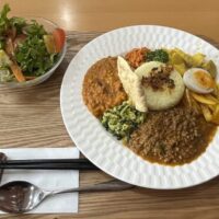 スリランカカレー　ヘルシー　大阪　富田林