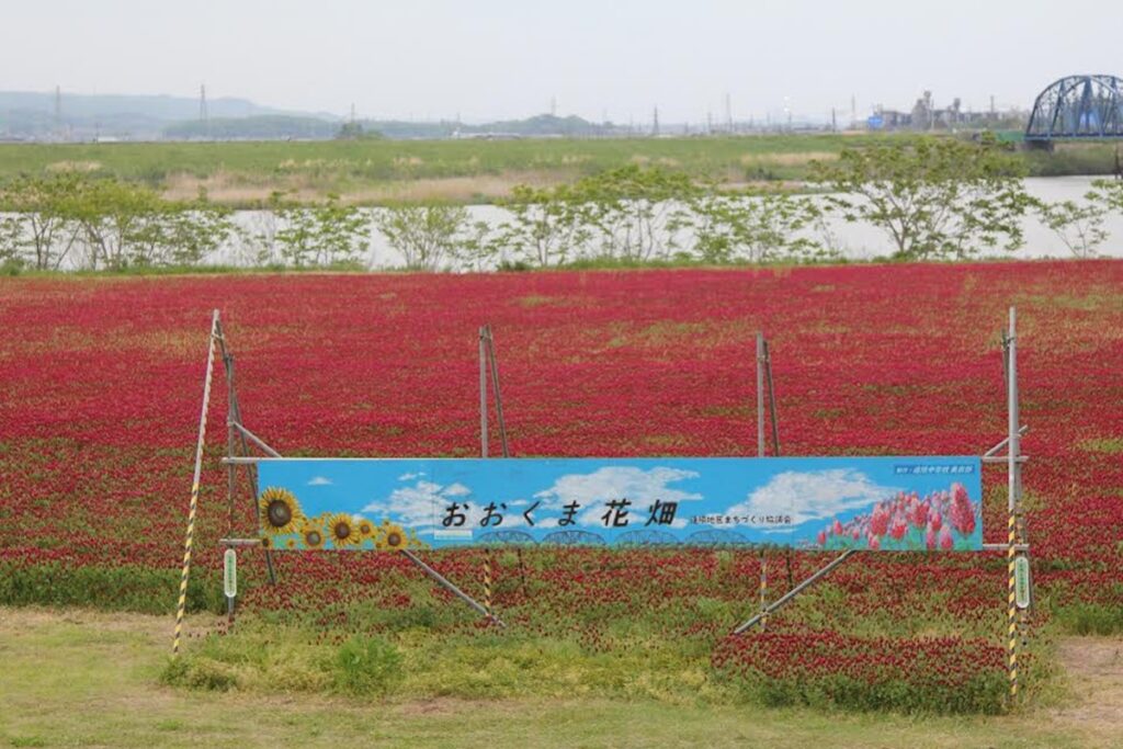 看板とクリムゾンクローバー