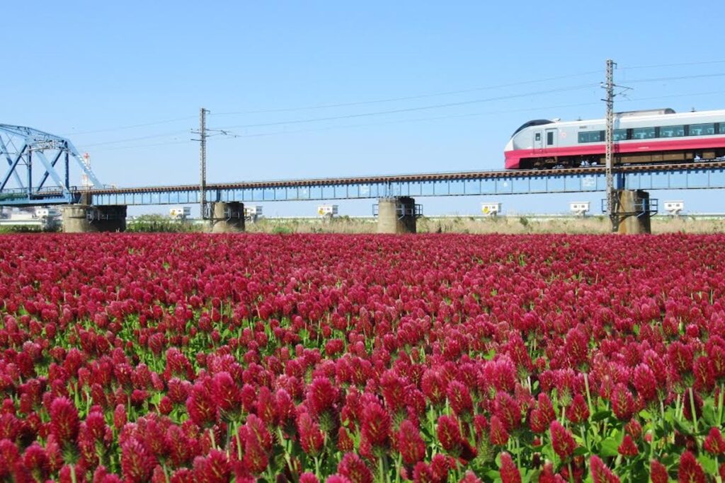 クリムゾンクローバーと電車