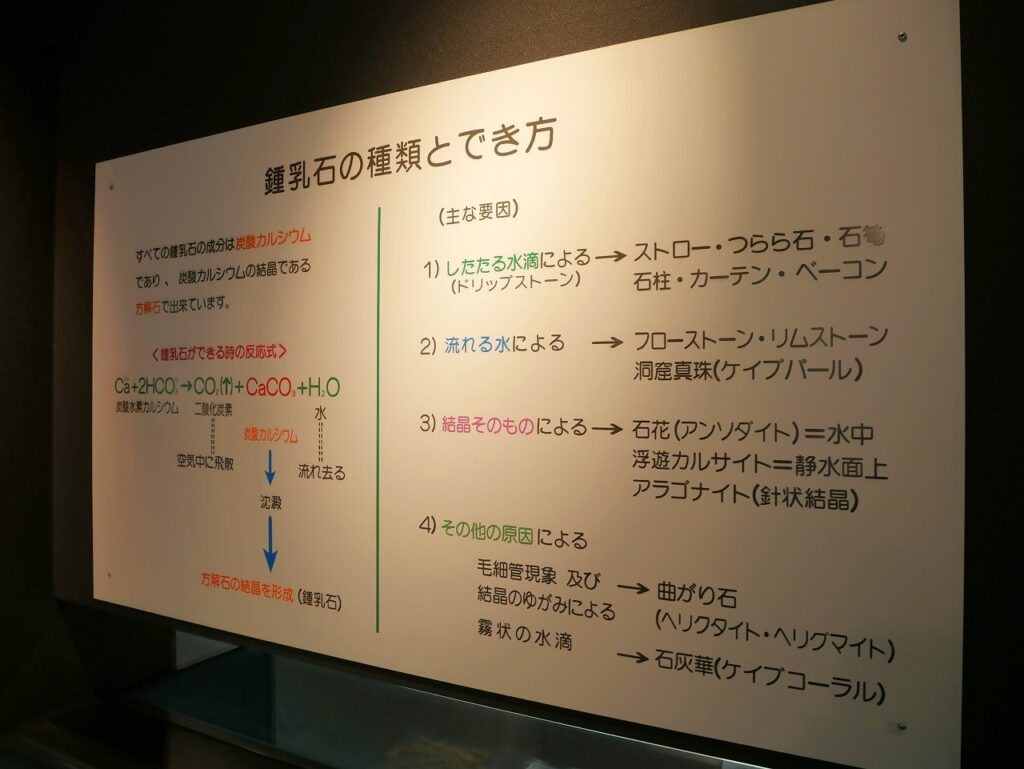 鍾乳石の種類とでき方
