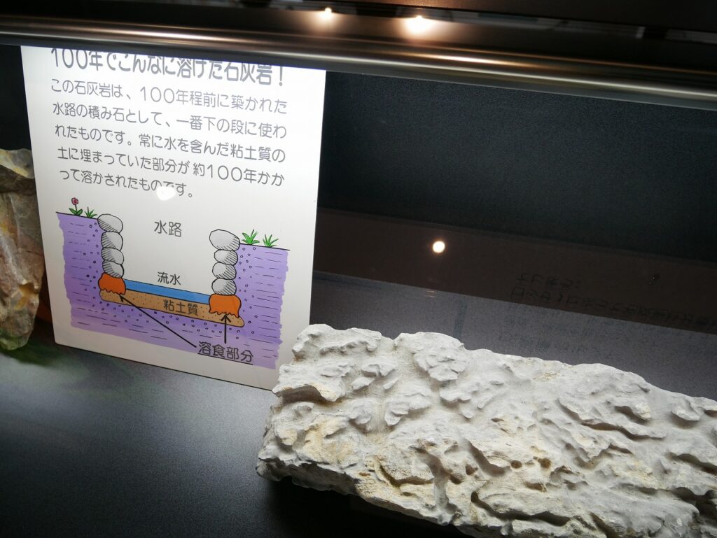 ミルククランチチョコレートと間違えそうな、100年でこんなに溶けた石灰岩!