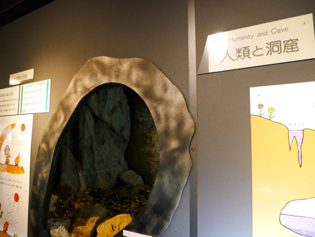 壁に空いた空間内では人類と洞窟との関わり合いが分かる