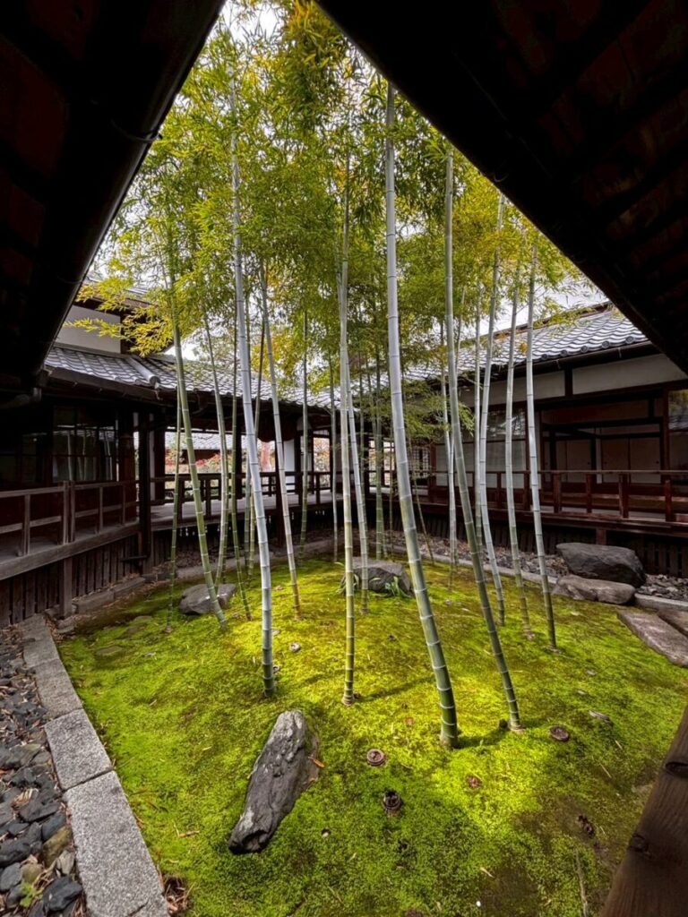 妙顕寺の竹庭