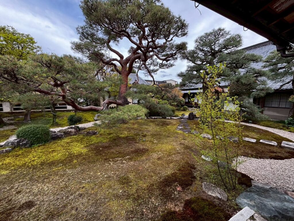 妙顕寺 光琳曲水の庭