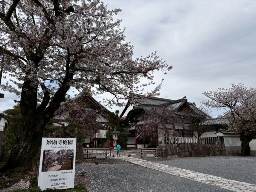 妙顕寺 受付前