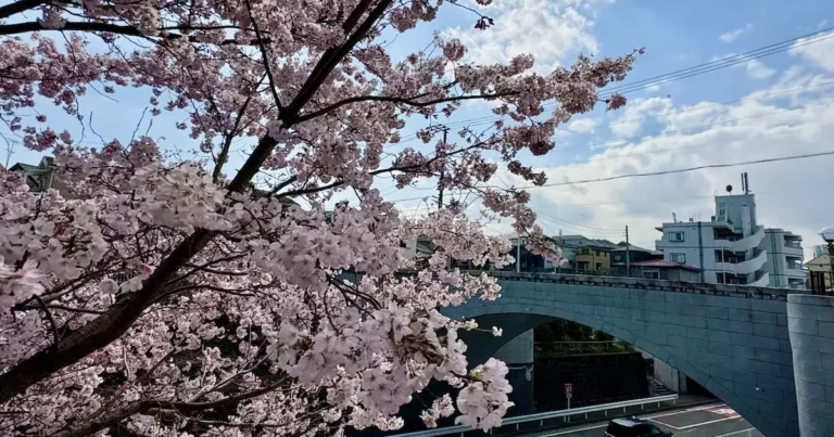 霞橋、久保山墓地、西横浜へ「暮らしの温故知新のみち」を歩く【後編】｜神奈川県横浜市