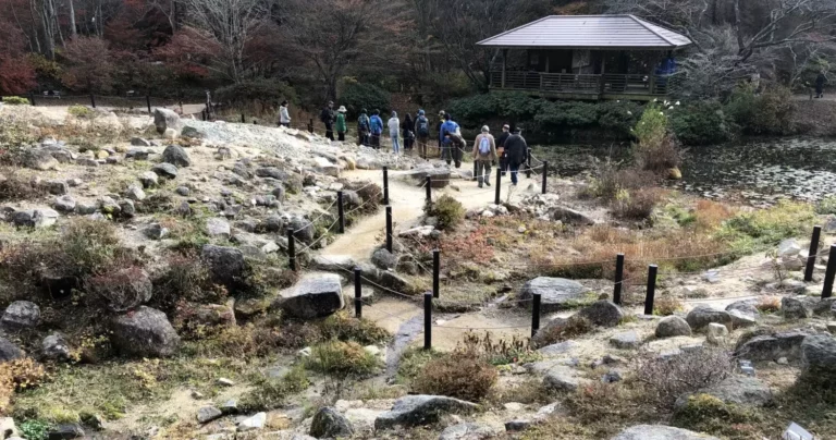 気楽に高山気分が味わえる！六甲高山植物園｜兵庫県神戸市