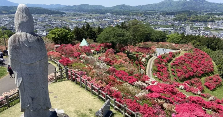 8,000株が咲く山頂の絶景と笠間のつつじまつり