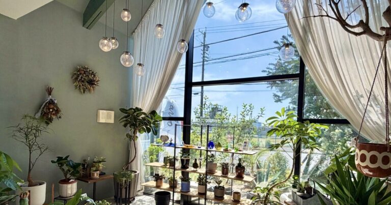 ボタニカルショップ「arbo」で叶う日常を彩る植物との暮らし【前編】｜愛知県春日井市