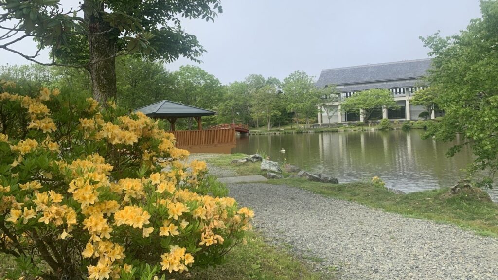 鶴ケ岱公園（つるがだいこうえん）