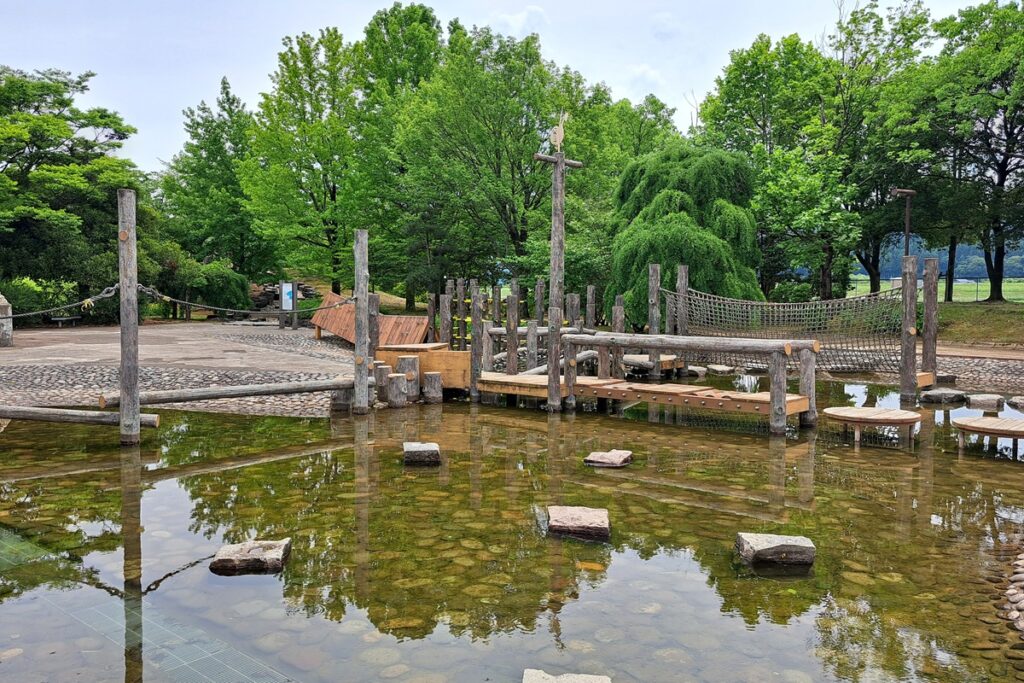 福井県総合グリーンセンターの水中アスレチック