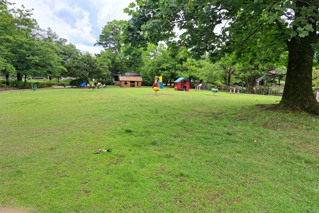 福井県総合グリーンセンターのふれあい広場