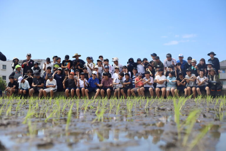 久米中学校創立80周年記念！初めての田植えを現地取材【愛媛県松山市】