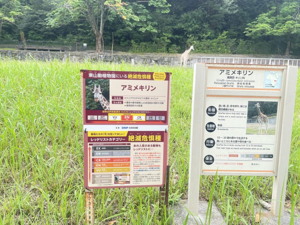 絶滅危惧種でもあるキリン