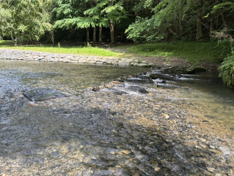 子どもも大人も夢中になる！宮城の川遊びスポットで夏を満喫